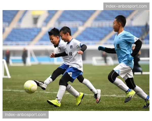 索邦大学体育科学系发布论文，探讨球场空间认知与青少年球员攻防决策速度的关系