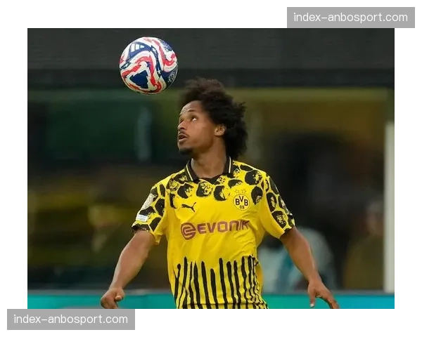 官方确认：多特蒙德边锋阿德耶米腿筋受伤，预计赛季报销